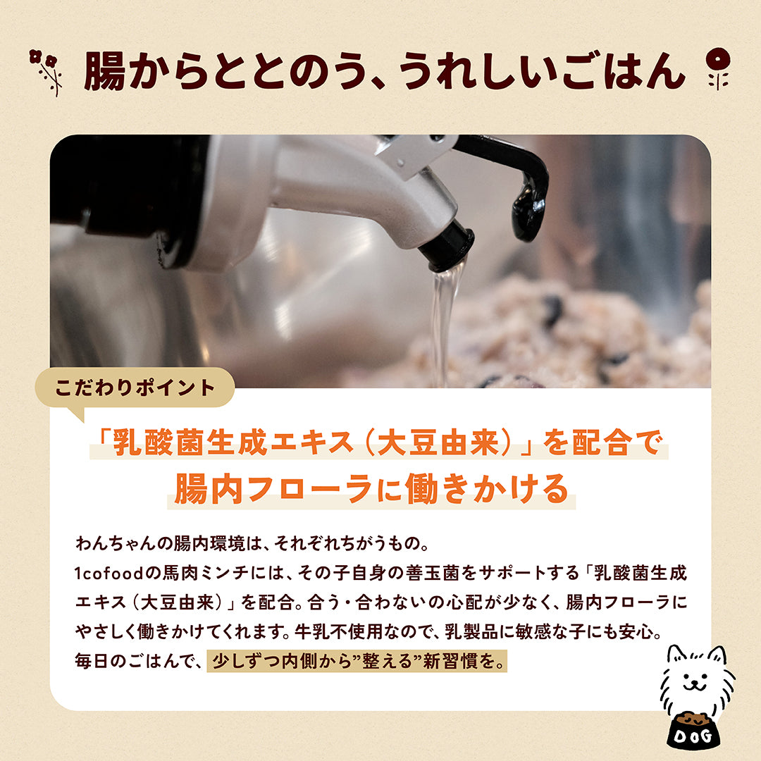 腸活☆生馬肉ミンチ