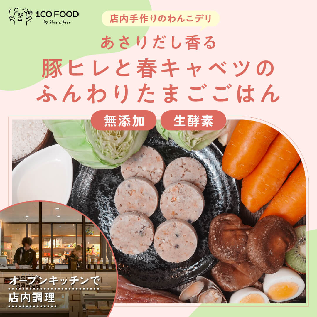 豚ヒレと春キャベツのふんわりたまごごはん