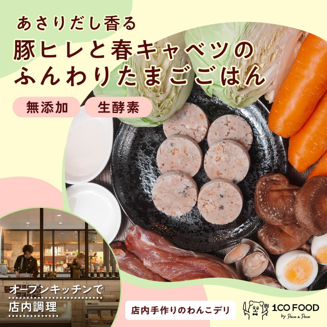 豚ヒレと春キャベツのふんわりたまごごはん