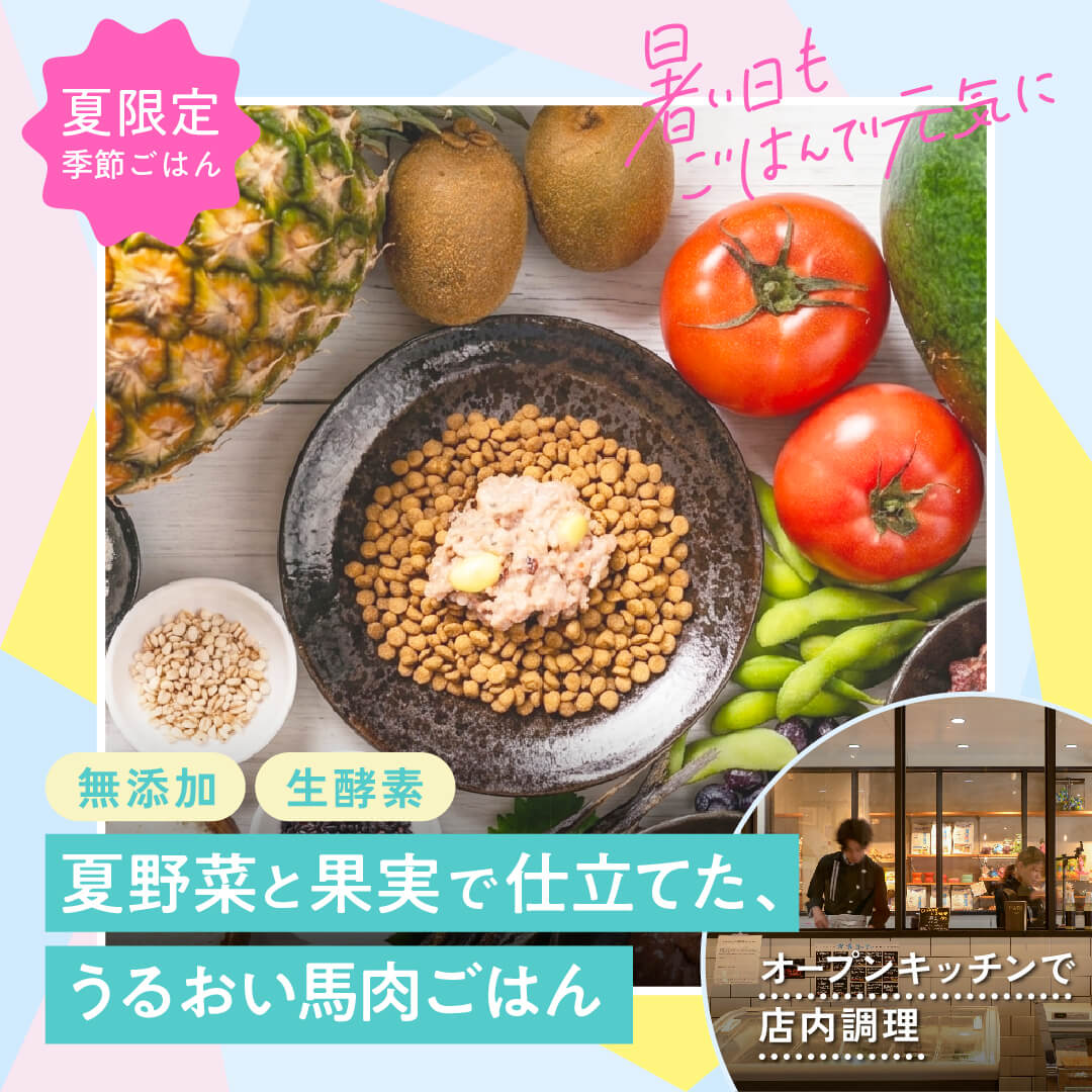 夏野菜と果実で仕立てた うるおい馬肉ごはん