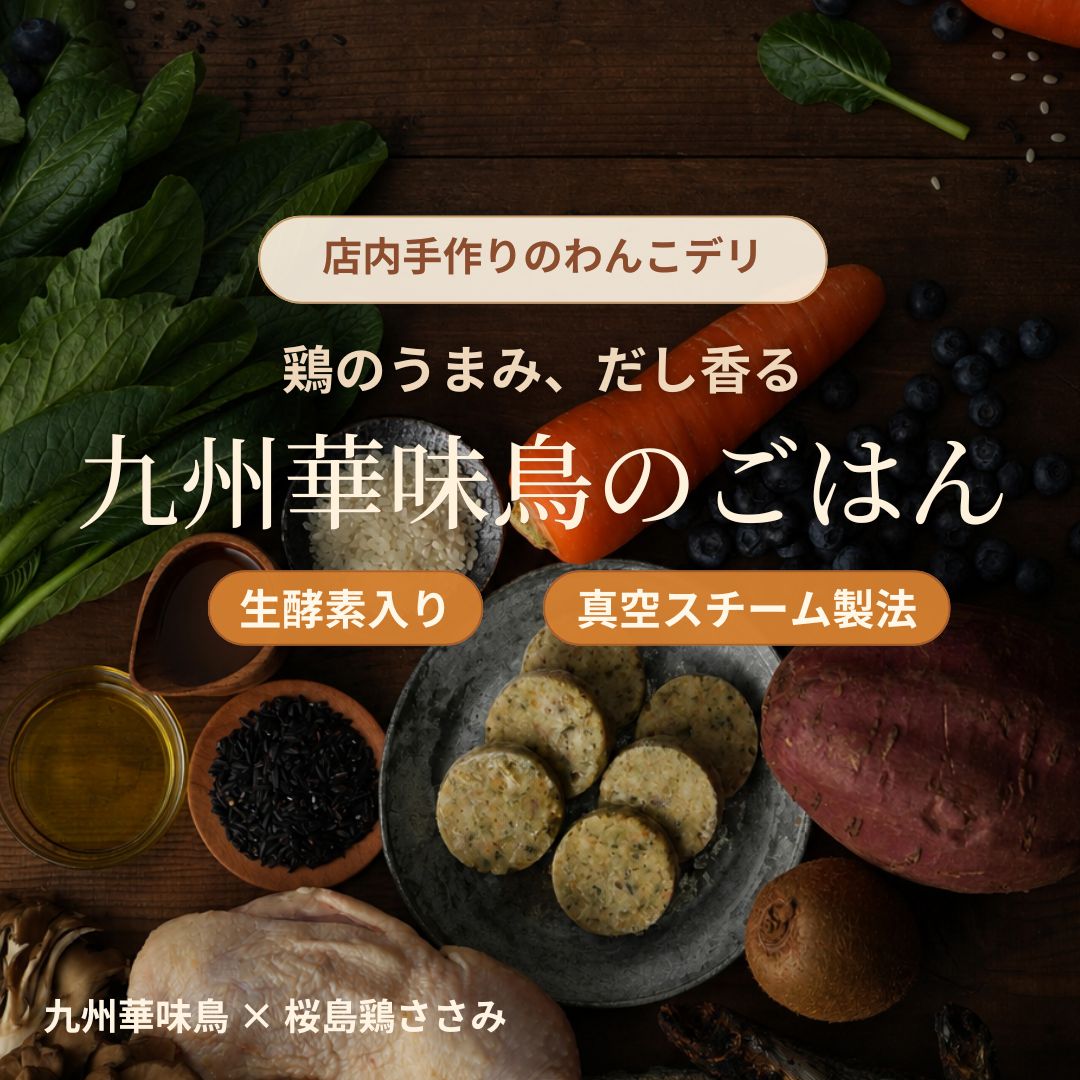 九州華味鳥のごはん