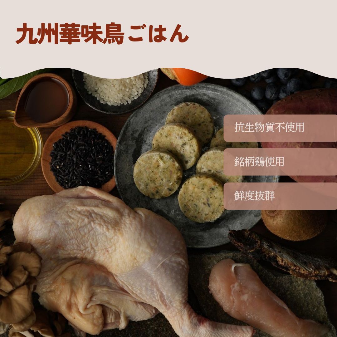食べムラの子にも人気 フレッシュフード3種食べ比べセット 鹿・猪・華味鳥のセット