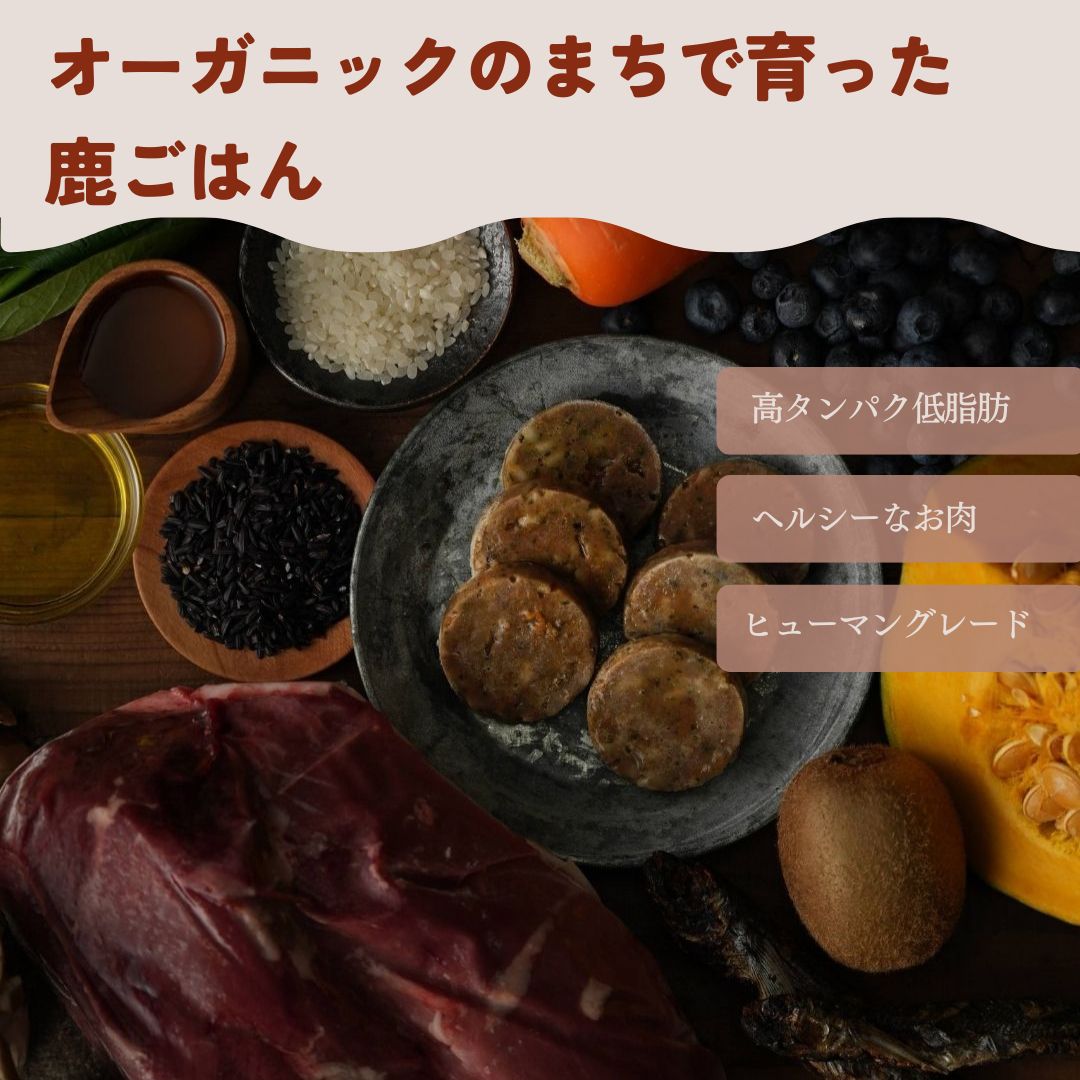 食べムラの子にも人気 フレッシュフード3種食べ比べセット 鹿・猪・華味鳥のセット