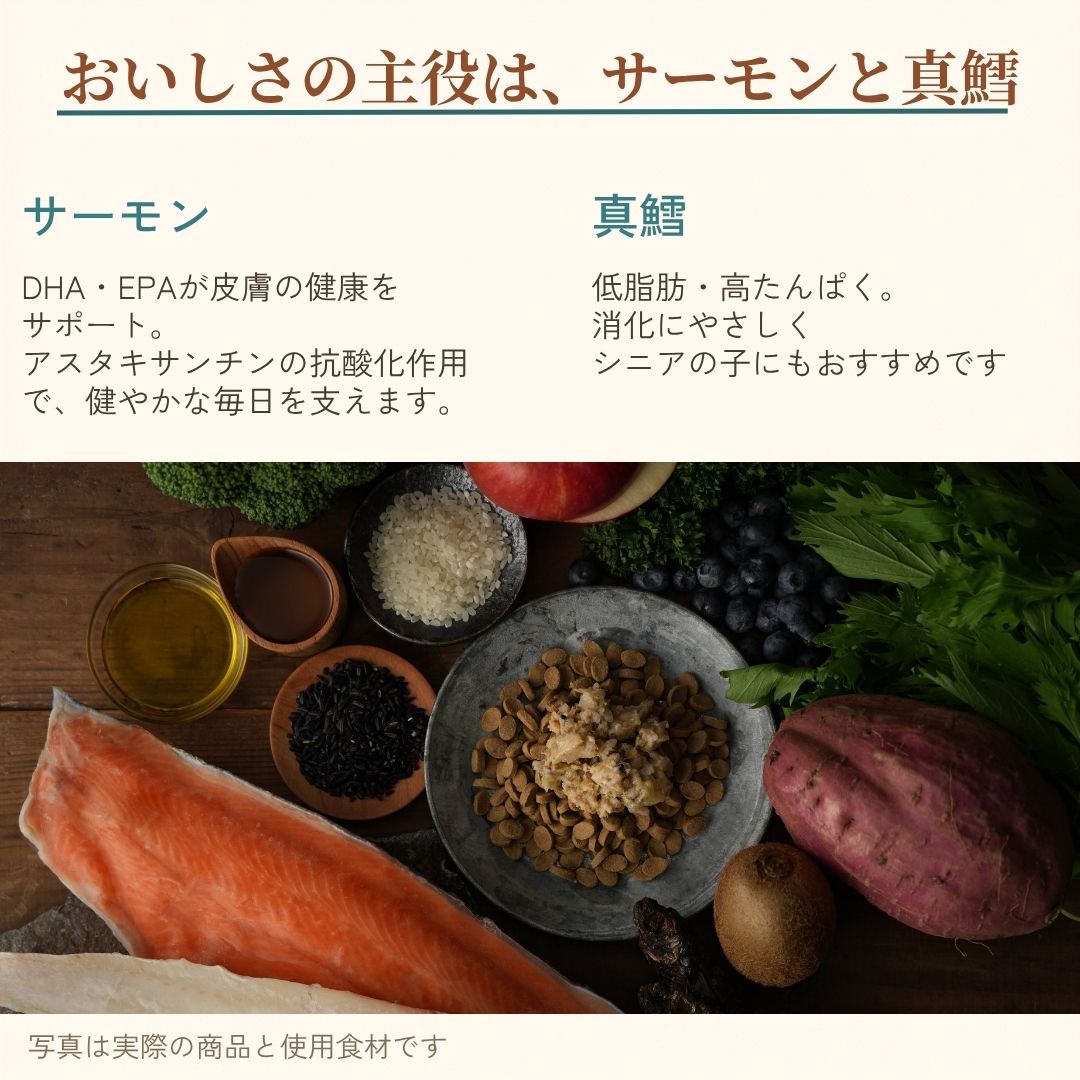 サーモンとタラのうまみたっぷりごはん
