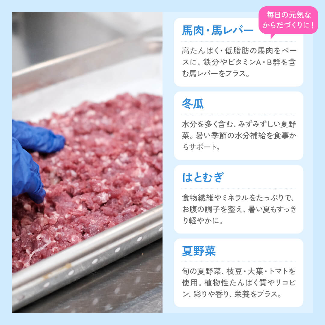 夏野菜と果実で仕立てた うるおい馬肉ごはん