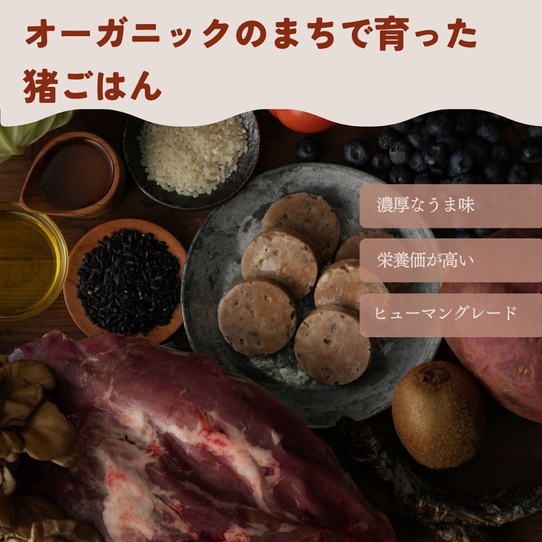 食べムラの子にも人気 フレッシュフード3種食べ比べセット 鹿・猪・華味鳥のセット