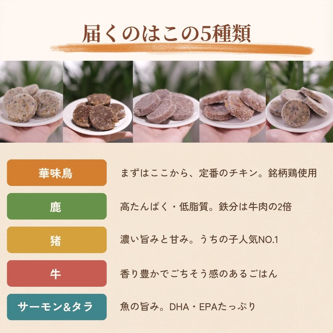 5種全部セット