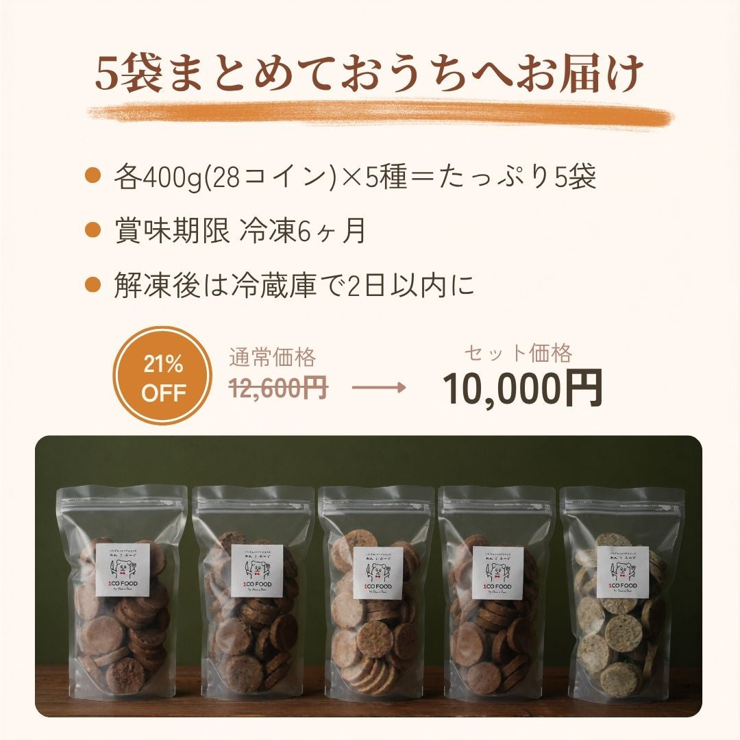 5種全部セット