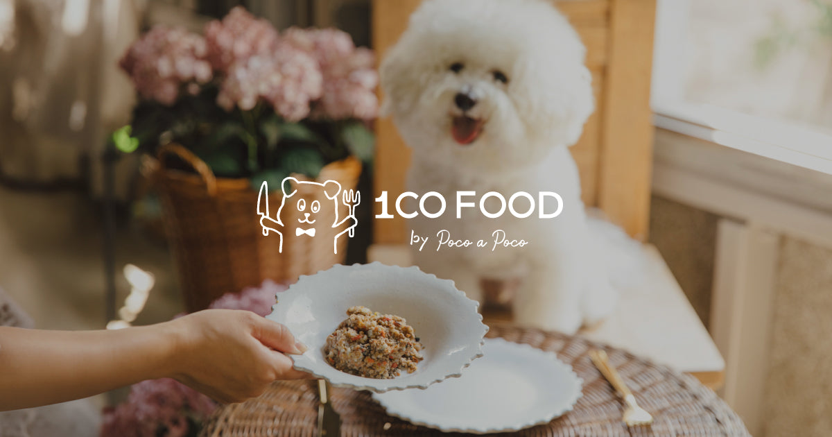1CO FOOD公式|店内手作りドッグフード-無添加・生酵素フレッシュフード