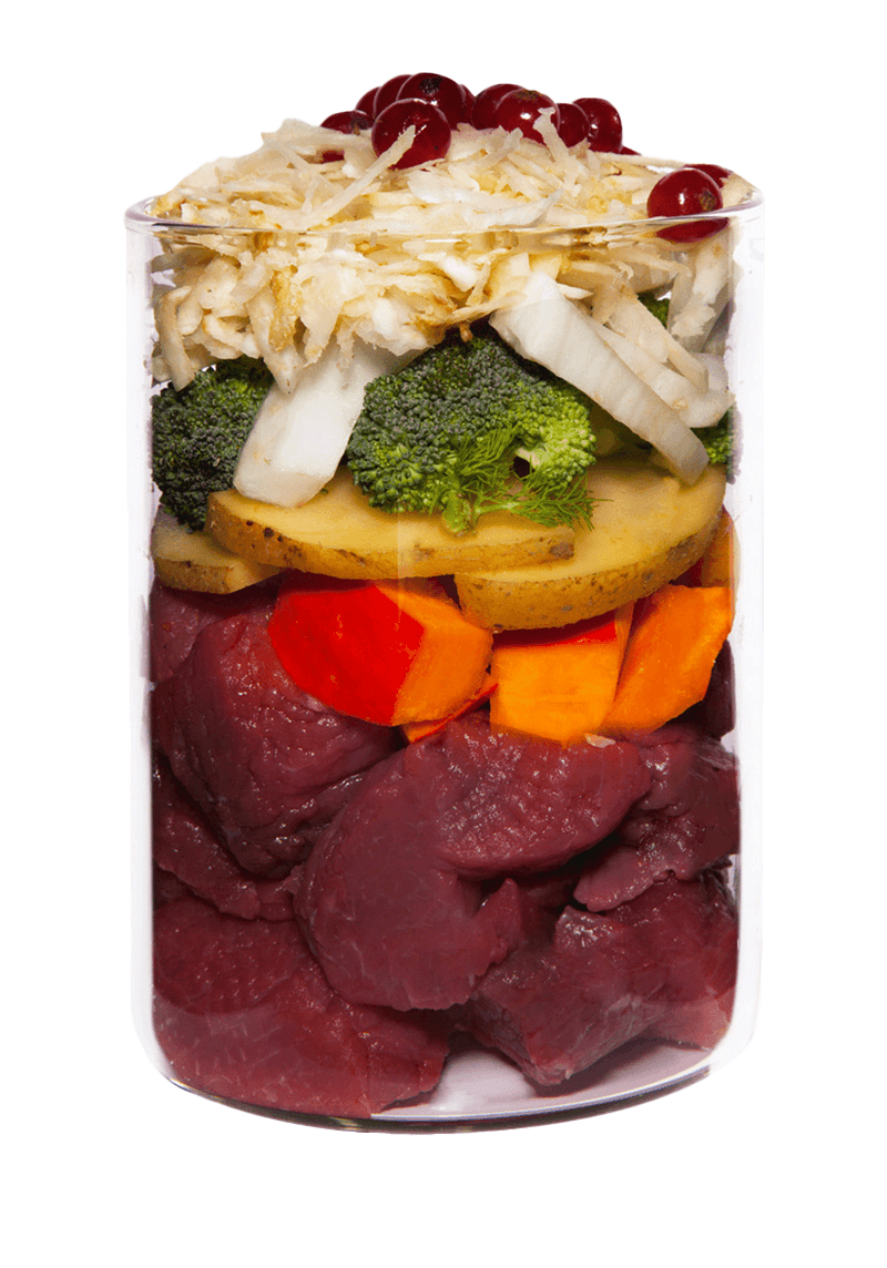 テラカニス アリベット 低ミネラル 馬肉