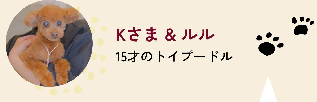 Kさま & ルル