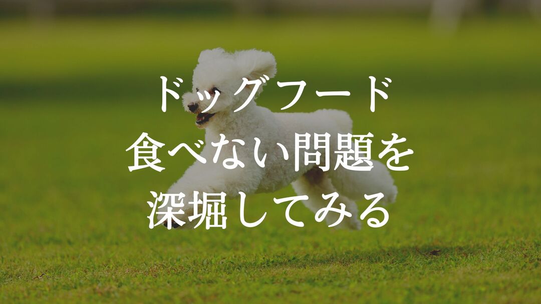 ドッグフード食べない問題