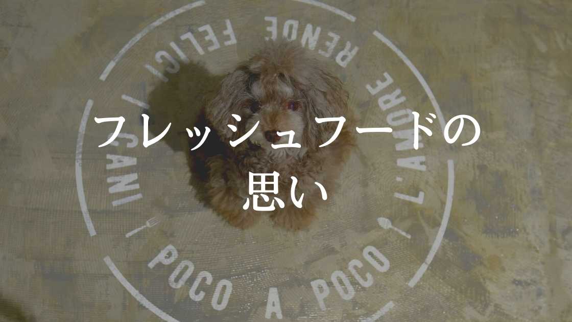 ある子どもの話