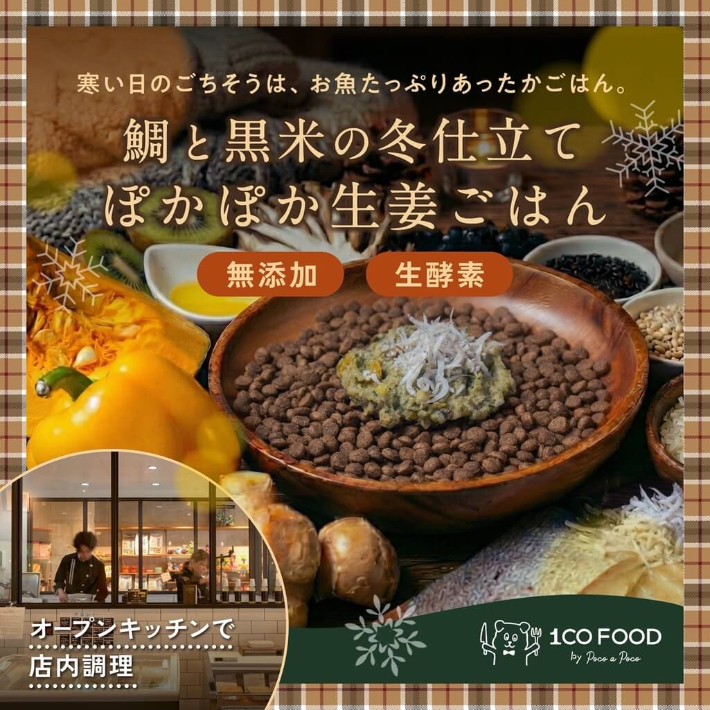 鯛と黒米の冬仕立て ぽかぽか生姜ごはん