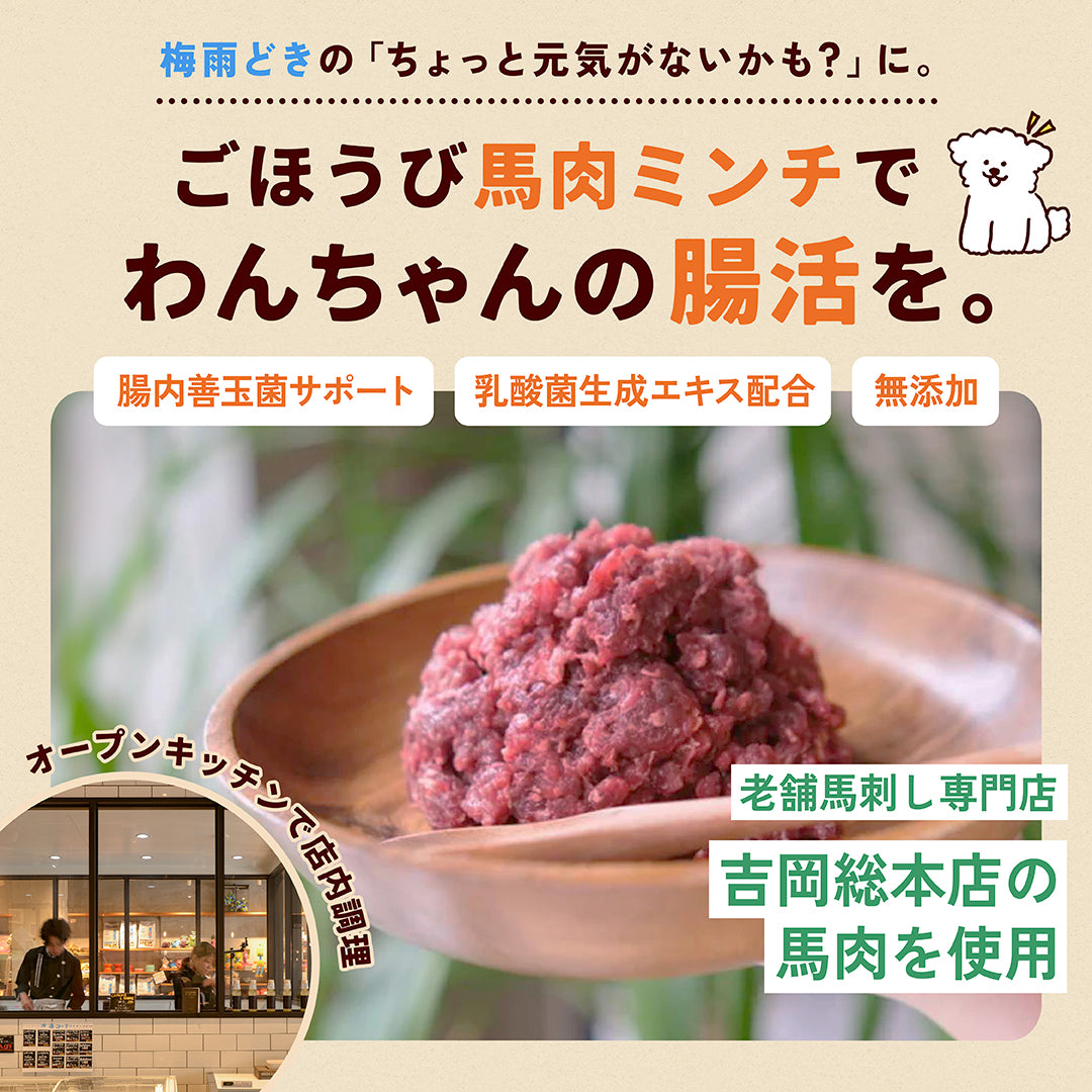 腸活☆生馬肉ミンチ