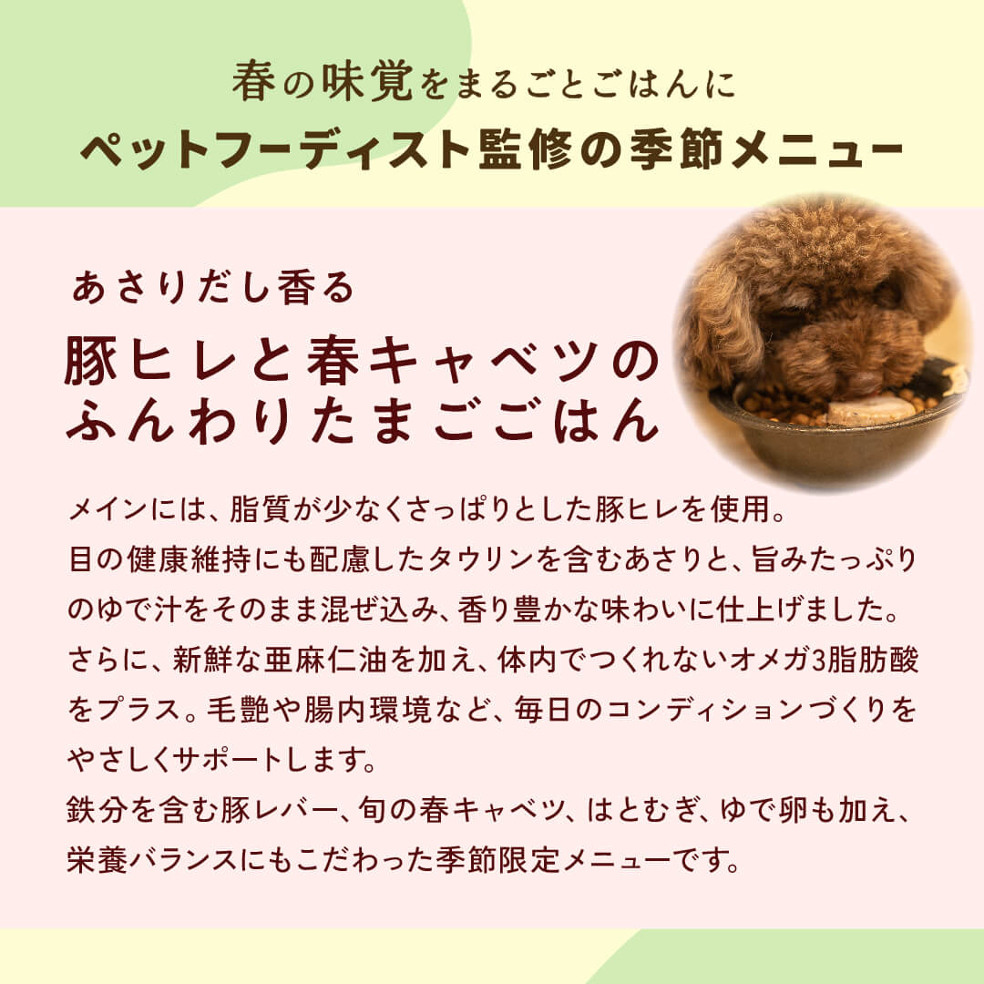 豚ヒレと春キャベツのふんわりたまごごはん