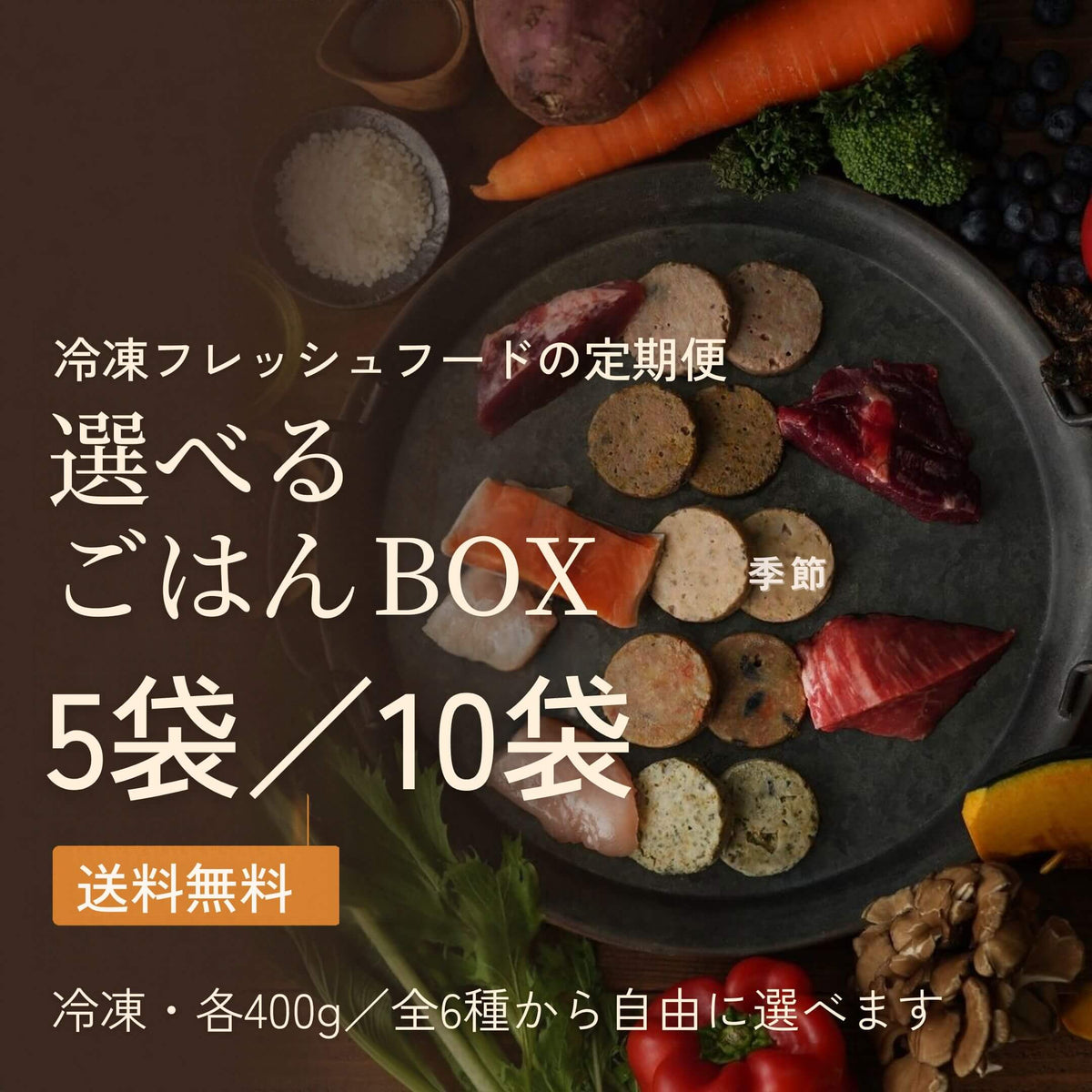 【お得に定期購入】選べるごはんBOX（5袋／10袋）