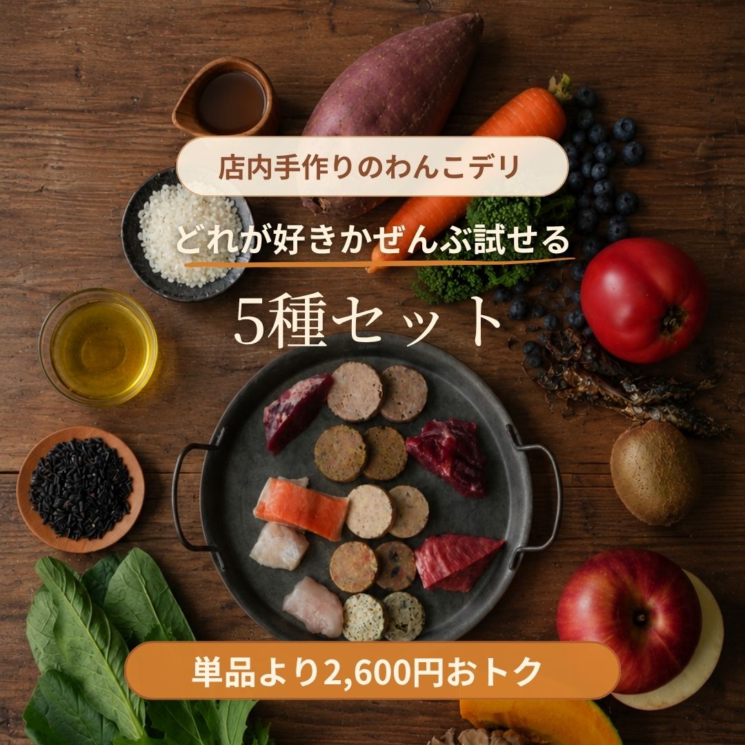 5種全部セット