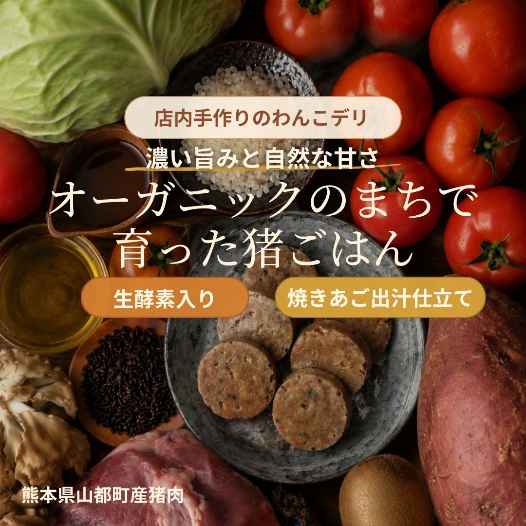 オーガニックのまちで育った猪ごはん