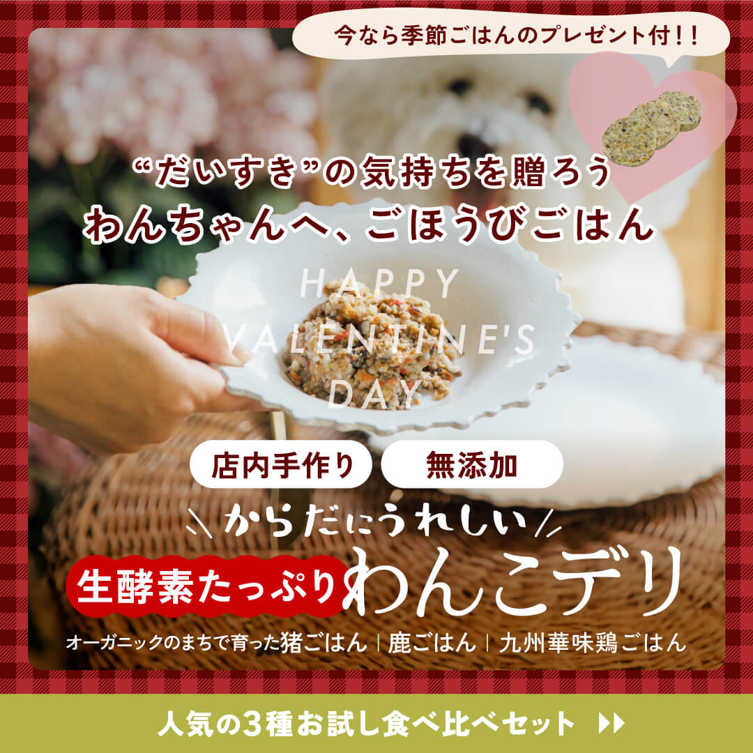 商品一覧