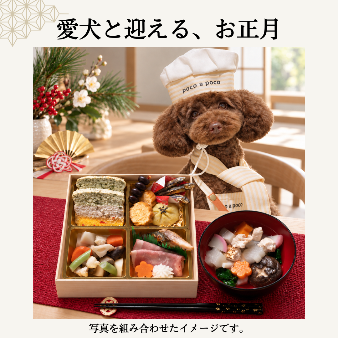 愛犬と迎えるお正月 写真を組み合わせた生成イメージ（おせち付きセット選択時）