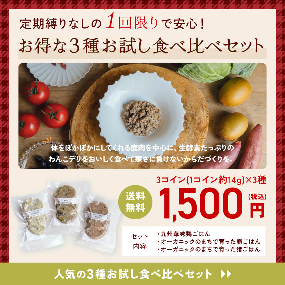 【初回おひとり１個】人気ごはん3種！お試し食べ比べセット