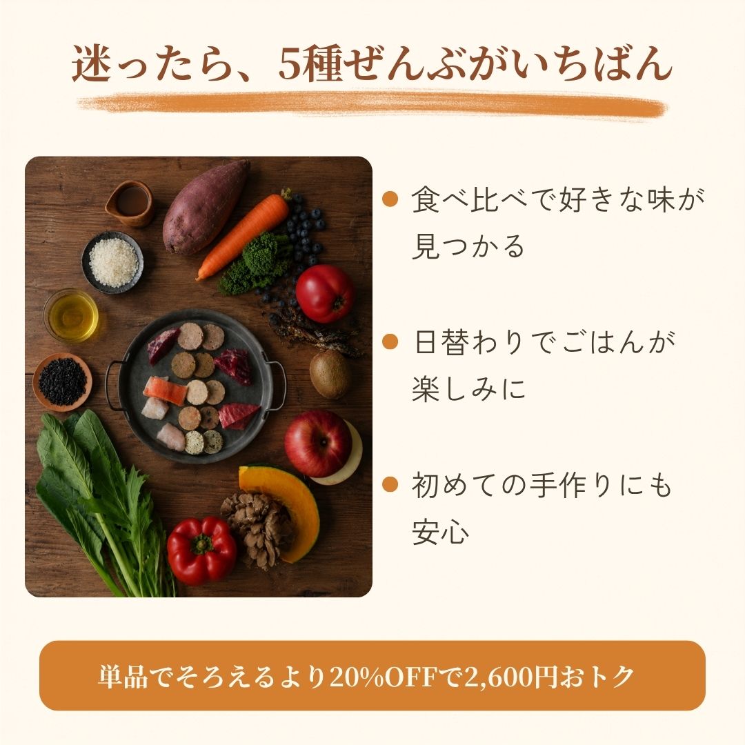 5種全部セット