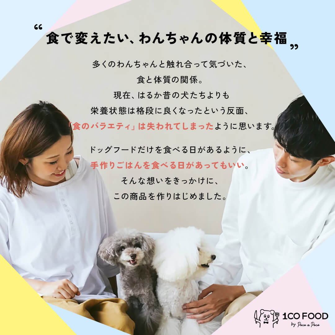 夏野菜と果実で仕立てた　うるおい馬肉ごはん