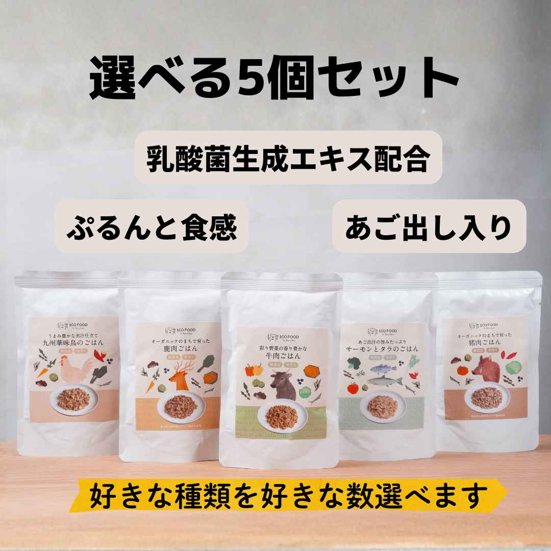 【数量限定！選べる5個セット】ぷるんと食感 あご出汁仕立ての新感覚のウェットフード 1COFOODレトルトパウチ