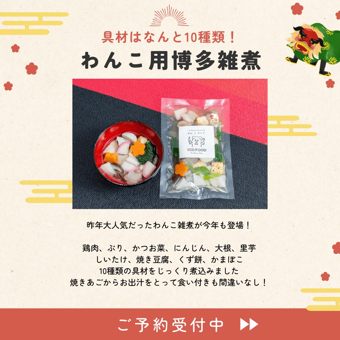 【九州味めぐり】わんこ用おせち&博多雑煮セット
