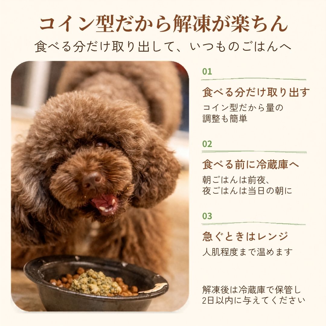 オーガニックのまちで育った鹿ごはん