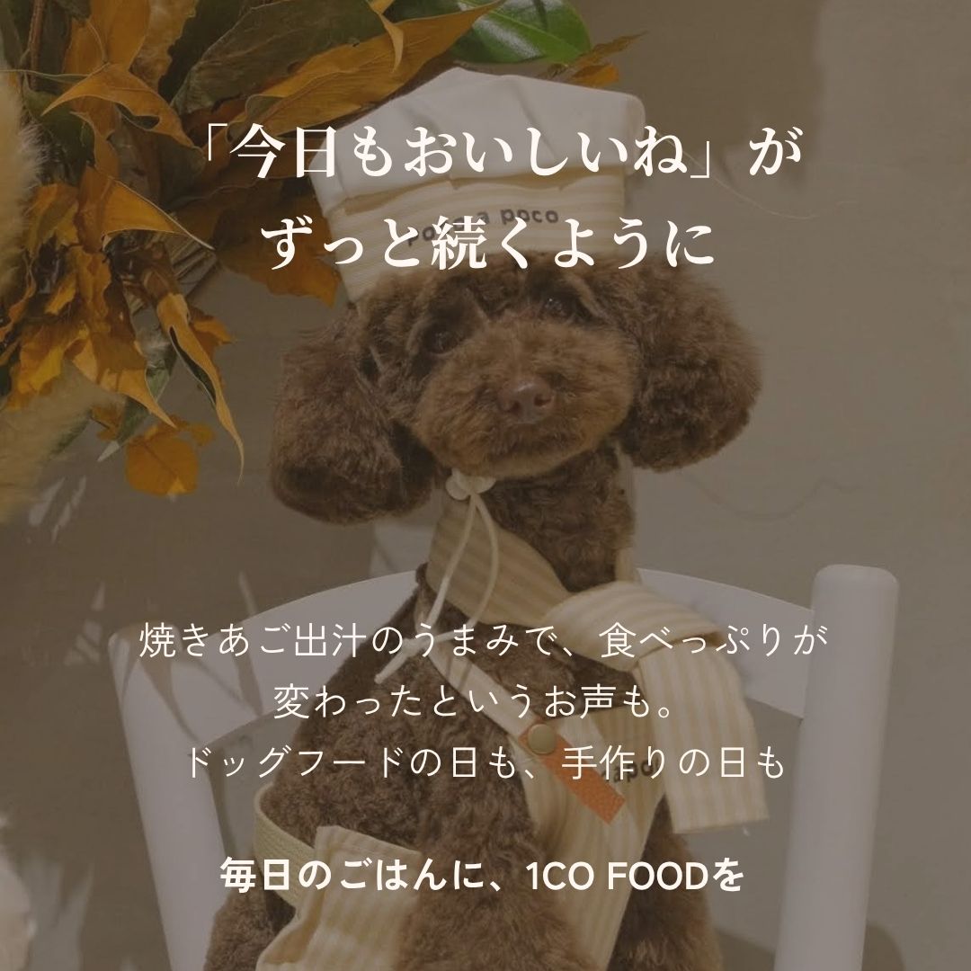 5種全部セット