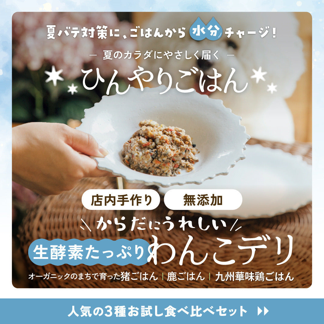 【初回おひとり１個】人気ごはん3種！お試し食べ比べセット