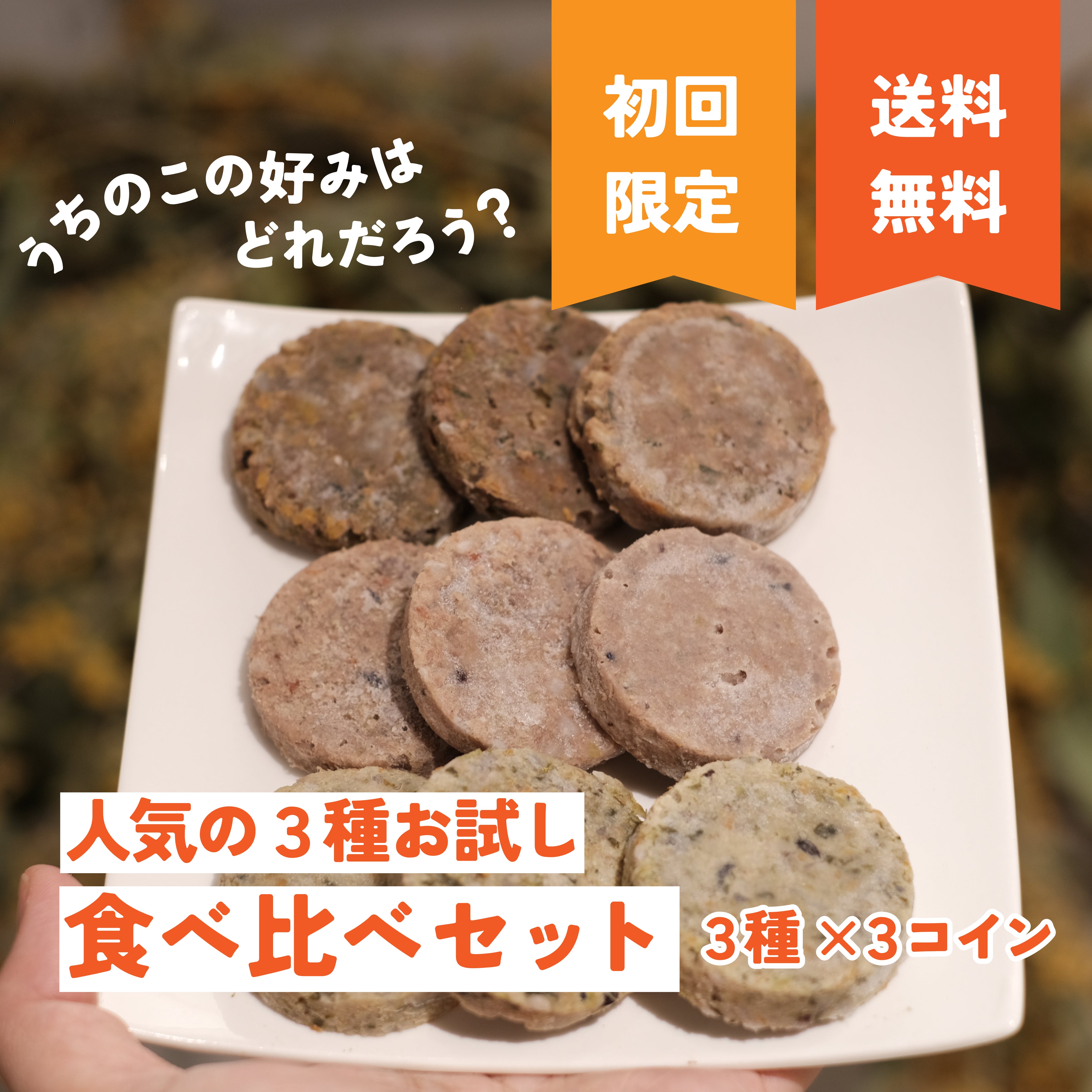 初回おひとり１個】人気ごはん3種！お試し食べ比べセット