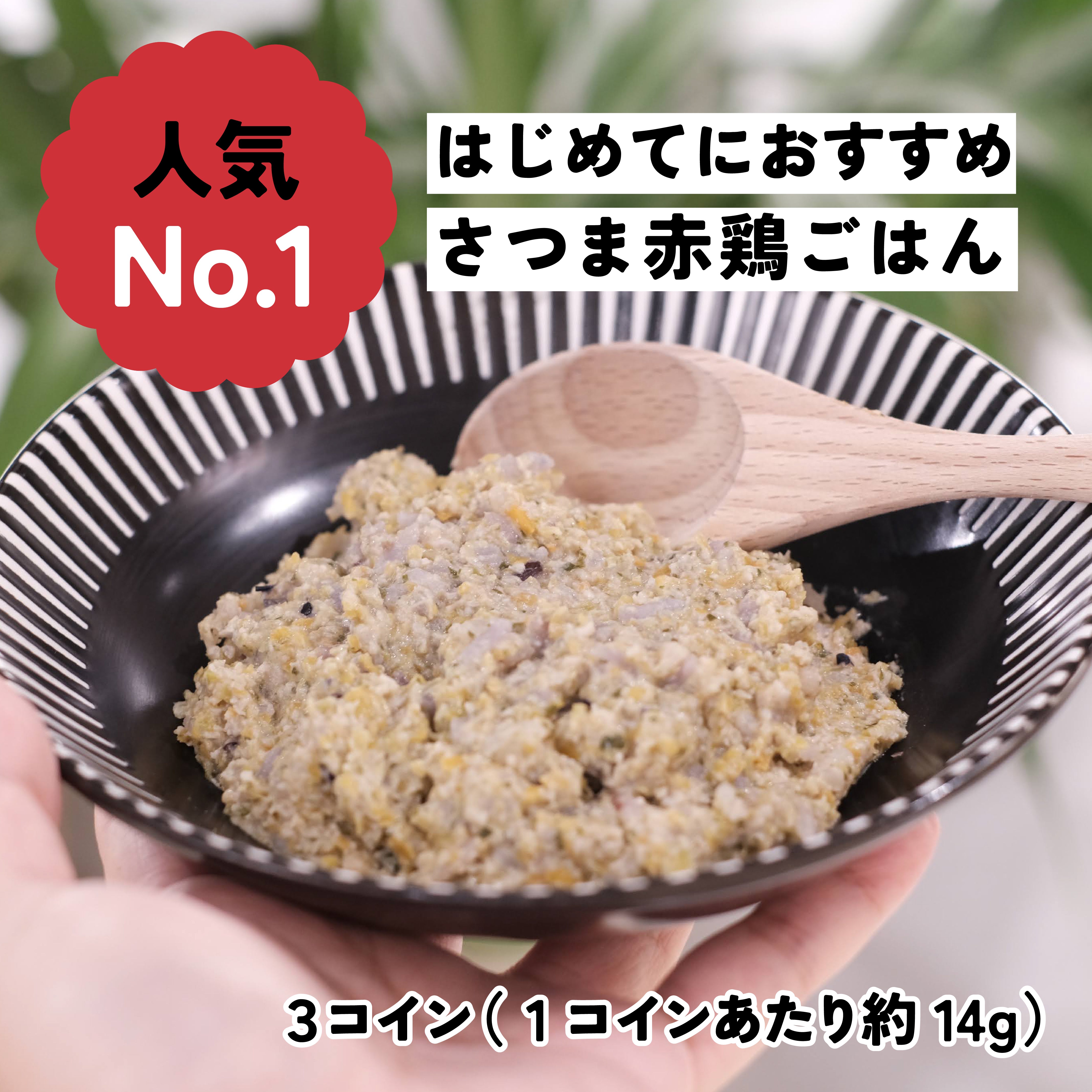 【初回おひとり１個】人気ごはん3種！お試し食べ比べセット