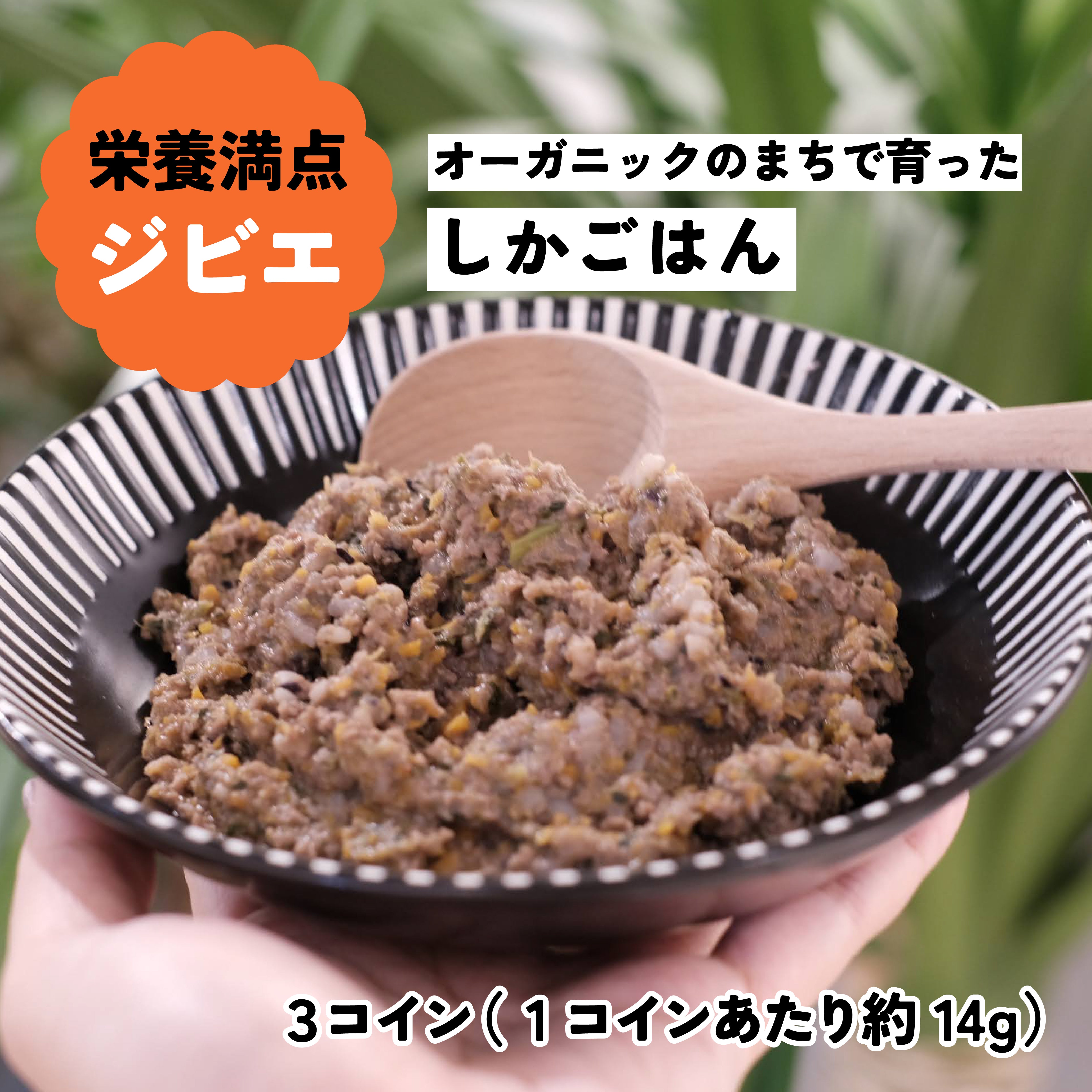 【初回おひとり１個】人気ごはん3種！お試し食べ比べセット