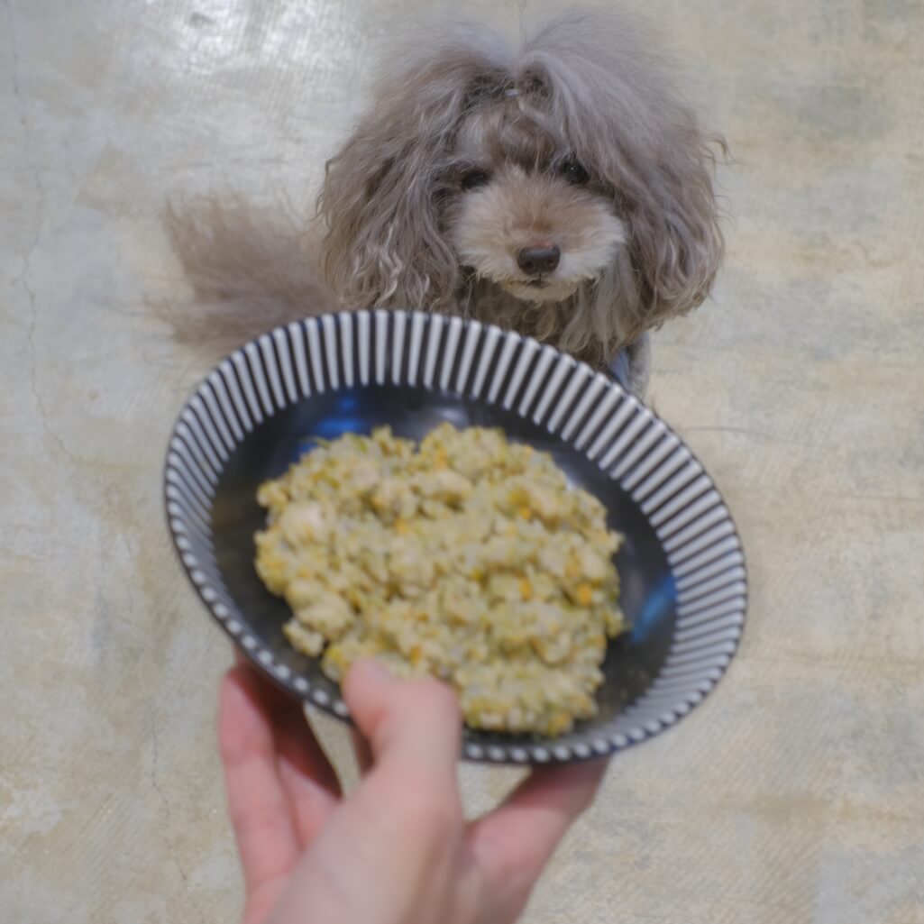 さつま赤鶏のごはん