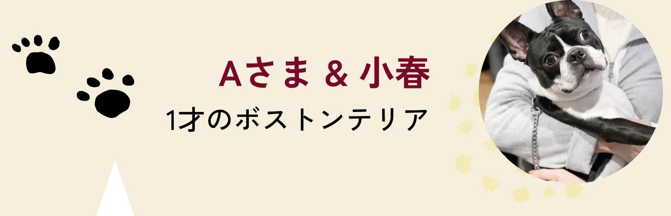 Kさま & マロン