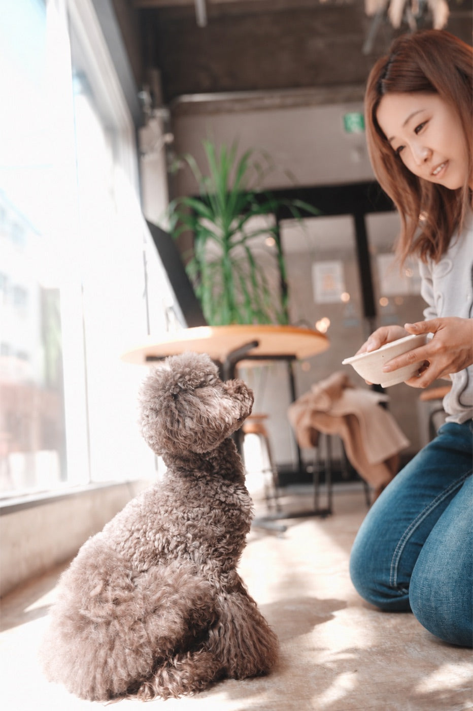 飼い主さんが器を差し出し、待つ愛犬
